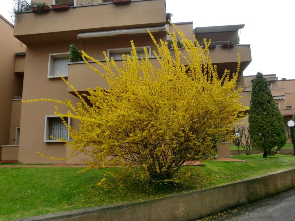 Residence La Madonnina ペスキエーラ・デル・ガルダ エクステリア 写真